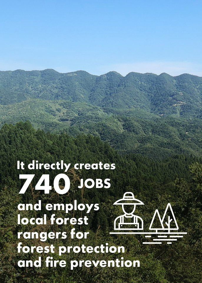 It directly creates 740 jobs and employs local forest rangers for forest protection and fire prevention