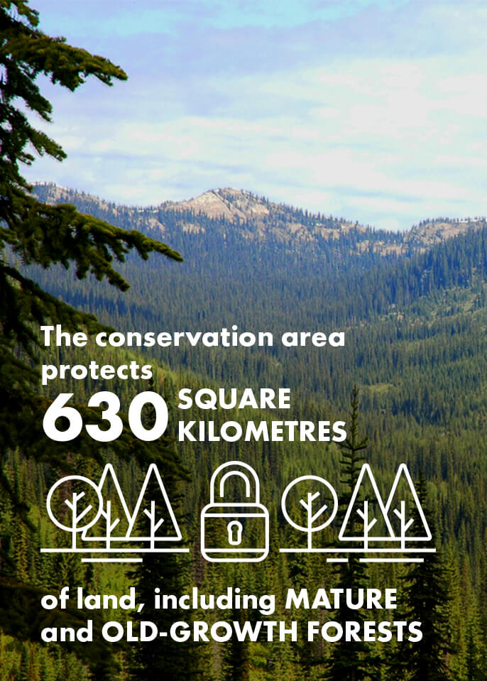 The conservation area protects 630 square kilometres of land, including mature and old-growth forests.