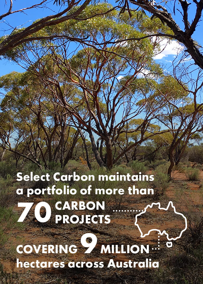 “Select Carbon maintains a portfolio of more than 70 carbon projects, covering 9 million hectares across Australia”. The graphic could be a outline of Australia with two dotted lines (one pointing towards “70 projects” and another one towards “covering 9 million hectares”.