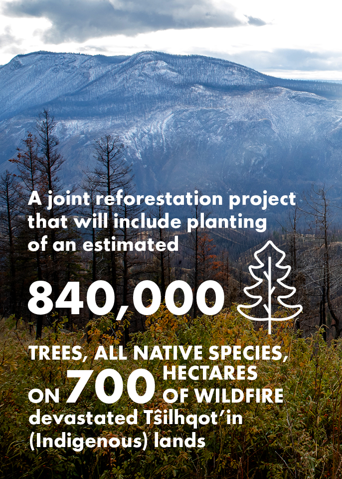 A joint reforestation project that will include planting of an estimated 840,000 native tree species on 700 hectares of wildfire devastated Tŝilhqot’in (Indigenous) lands.