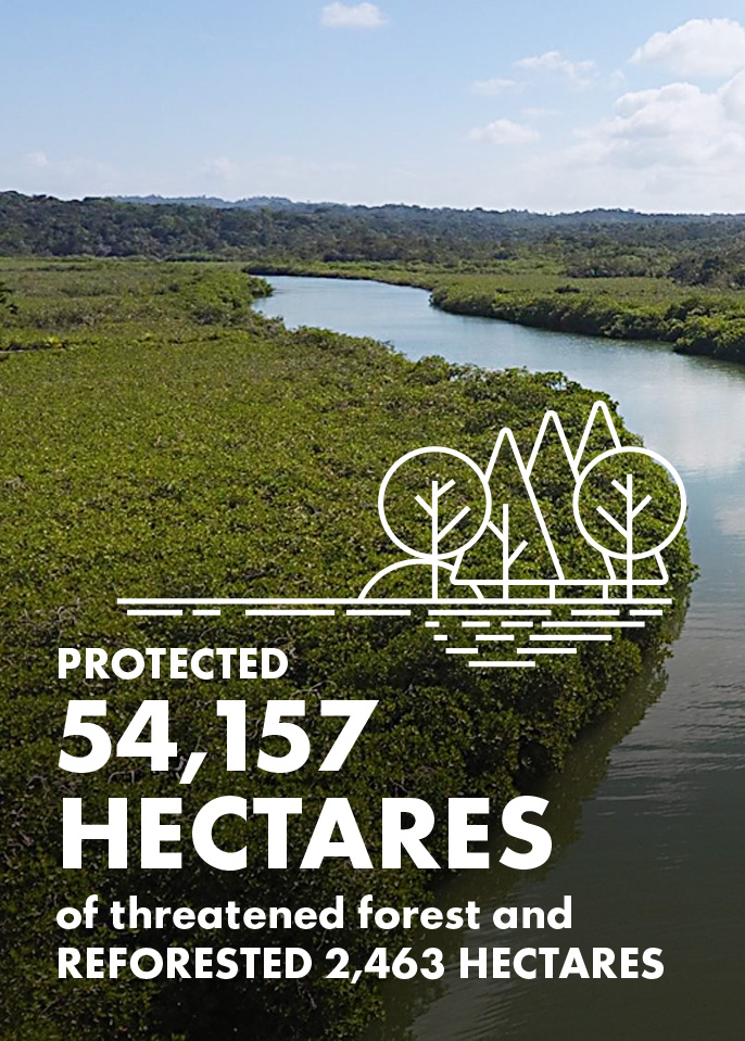 Infographic stating 'Protected 54,157 hectares of threatened forest and reforested 2,463 hectares'