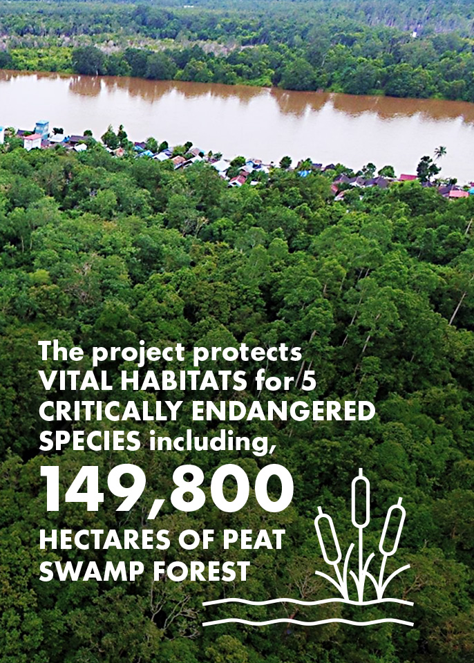 Infographic stating 'The project protects vital habitats for 5 critically endangered species including, 149,800 hectares of peat swamp forest'