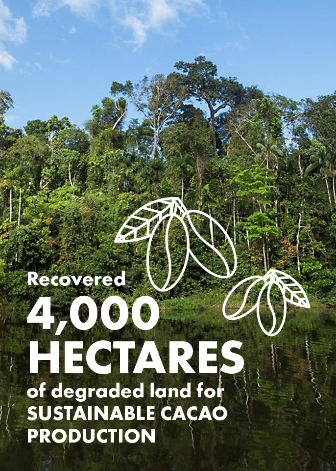 Infographic stating 'Recovered 4,000 hectares of degradeable land for sustainable cacao production'