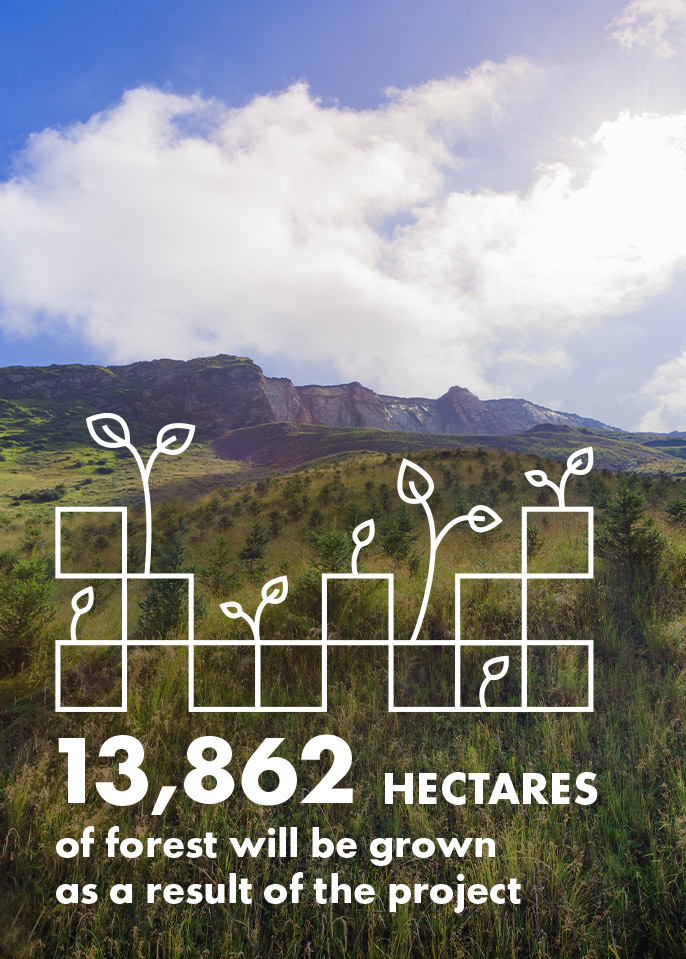 Infographic stating '13,862 hectares of forest will be grown as a result of the project'