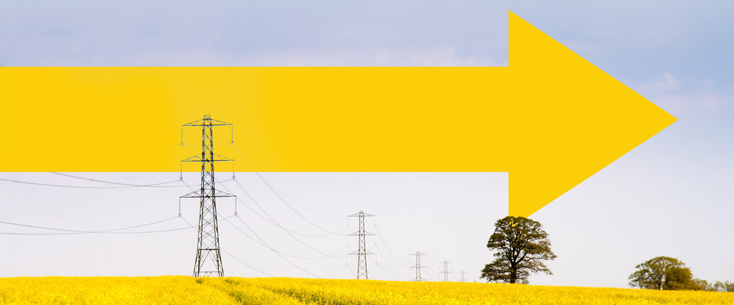 Electricity pylons in a yellow field